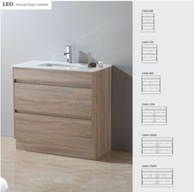 Load image into Gallery viewer, CA04 - LEO