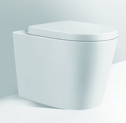 AVIS MATTE WHITE TOILET