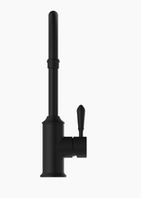 Load image into Gallery viewer, YORK KITCHEN MIXER GOOSNECK SPOUT WITH METAL LEVER MB (NR69210602MB)

