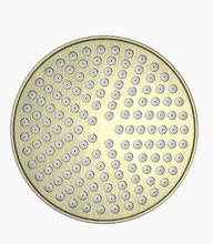 Load image into Gallery viewer, YORK 200MM SHOWER HEAD AB (NR508094AB)
